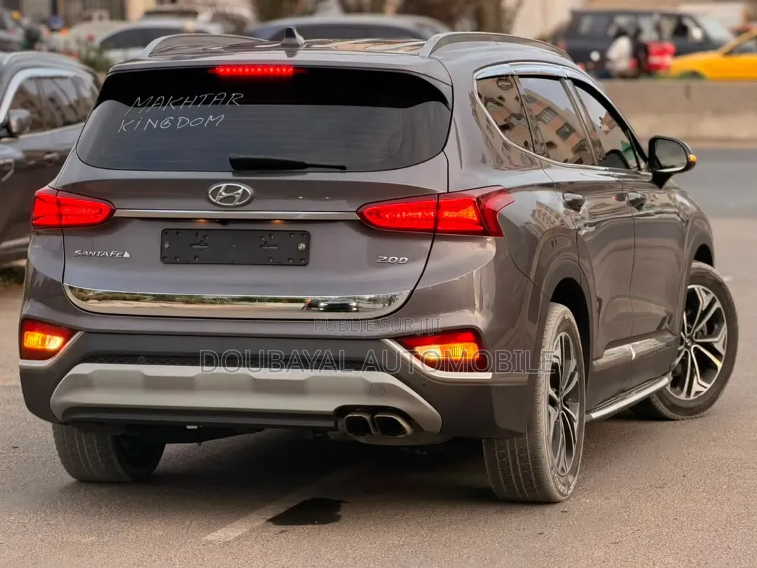 Hyundai Santa Fe 2019 Autre