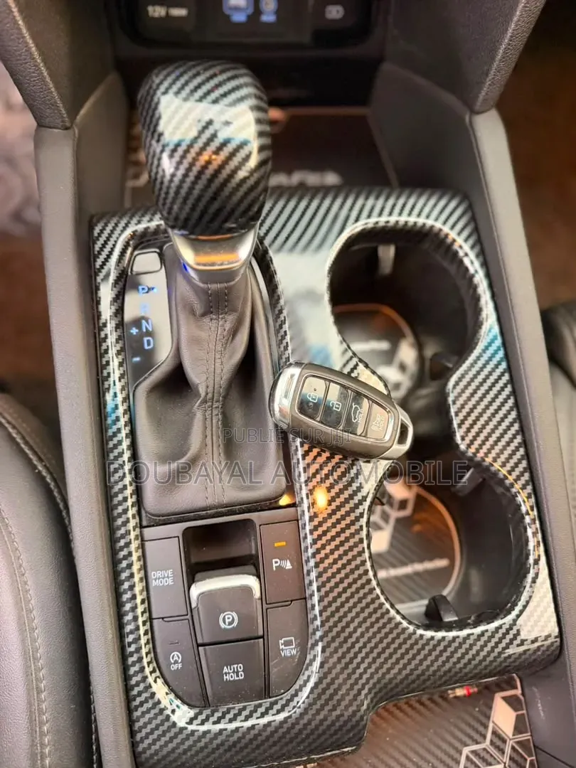 Hyundai Santa Fe 2019 Autre