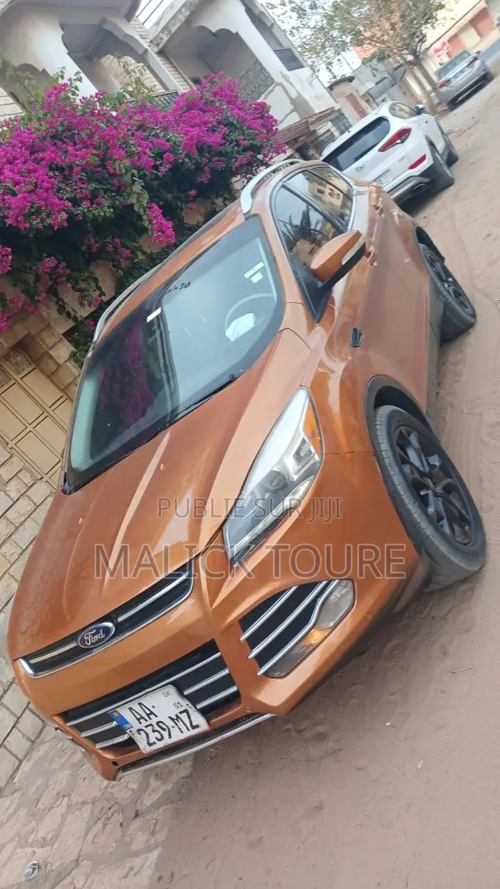 Ford Escape 2015 Orange