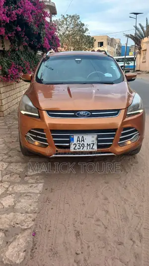 Ford Escape 2015 Orange