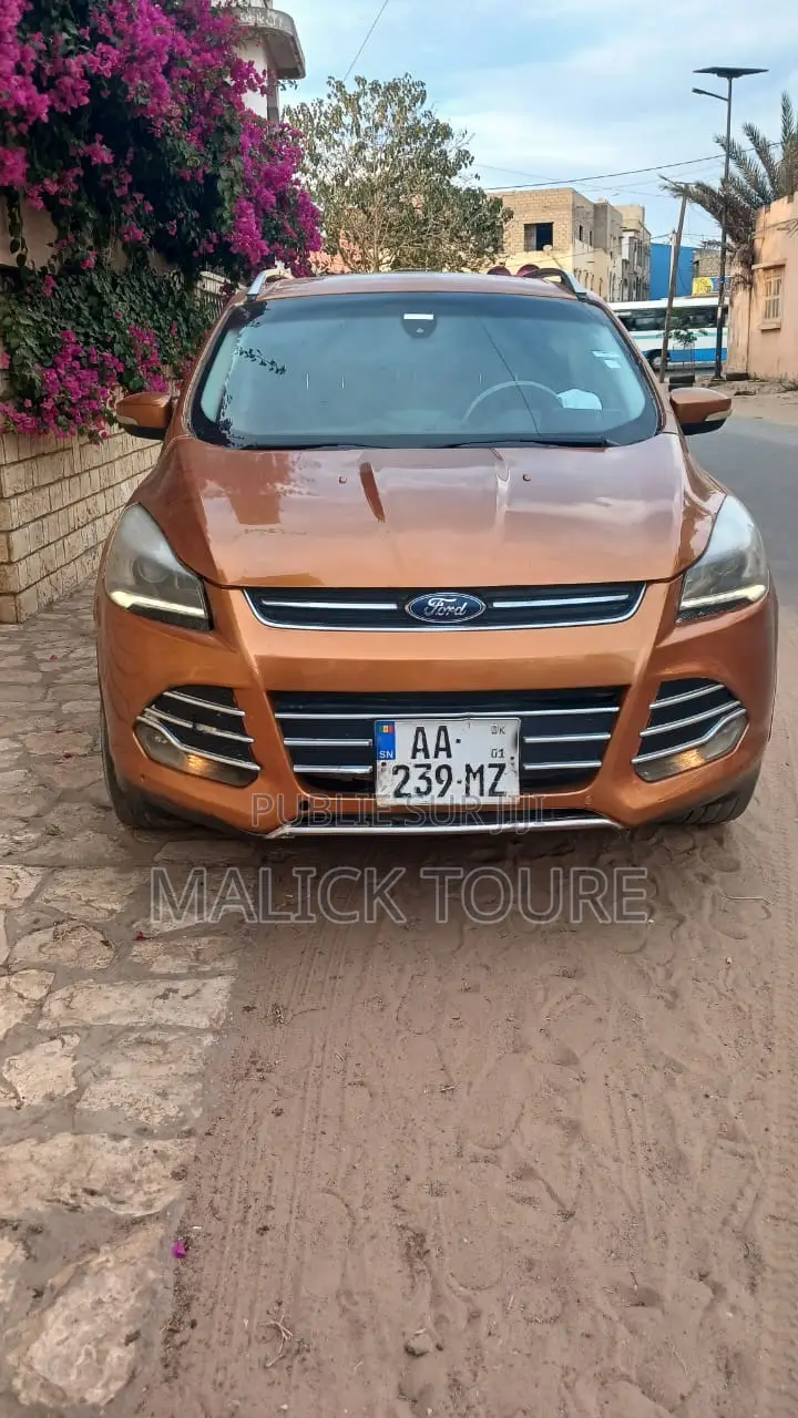 Ford Escape 2015 Orange