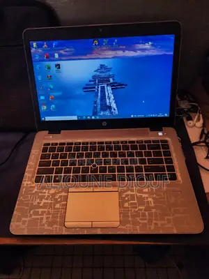 Ordinateur portable HP EliteBook 745 G2 8GB AMD HDD 1T