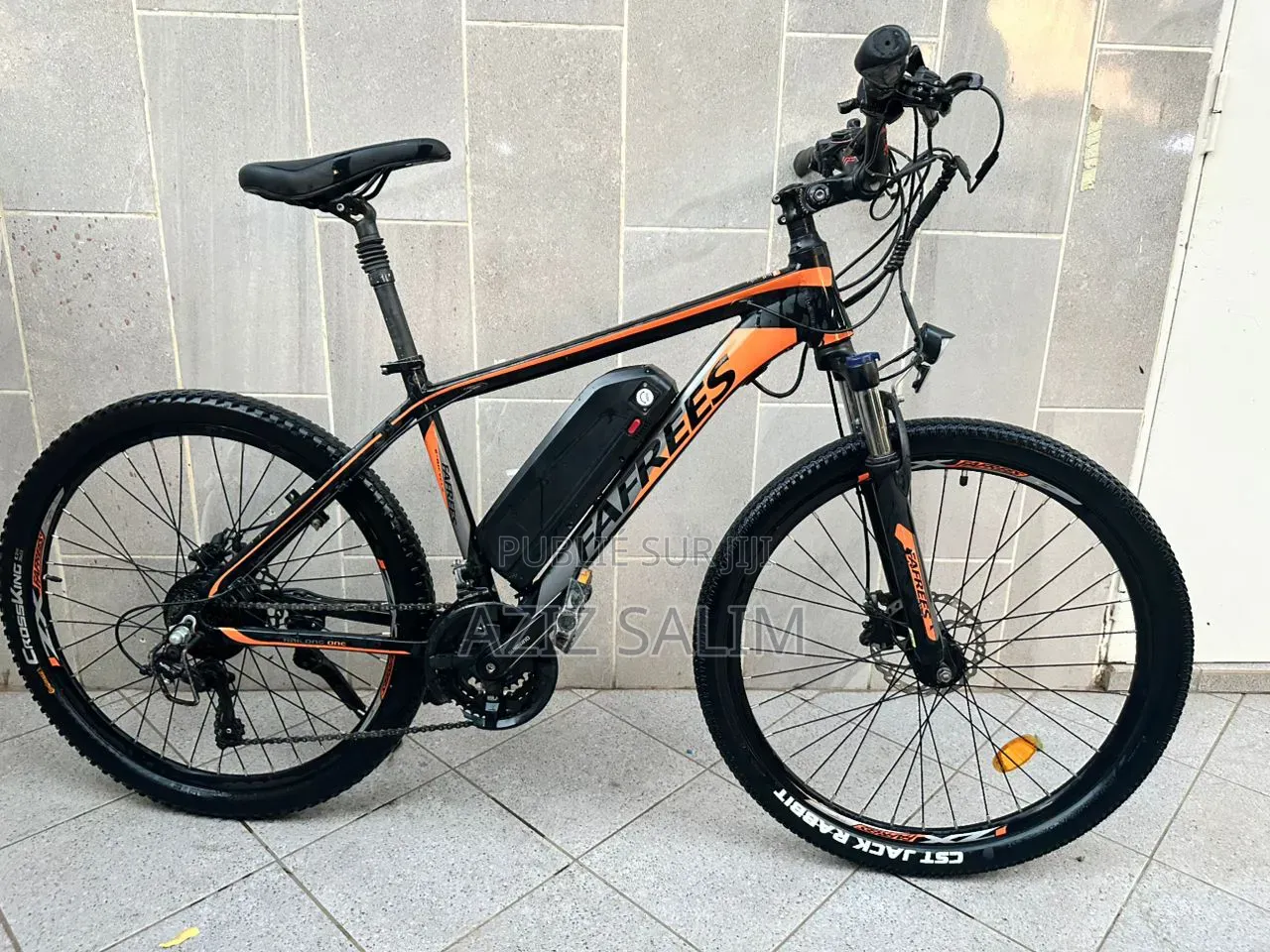 Bike Électrique Fafrees