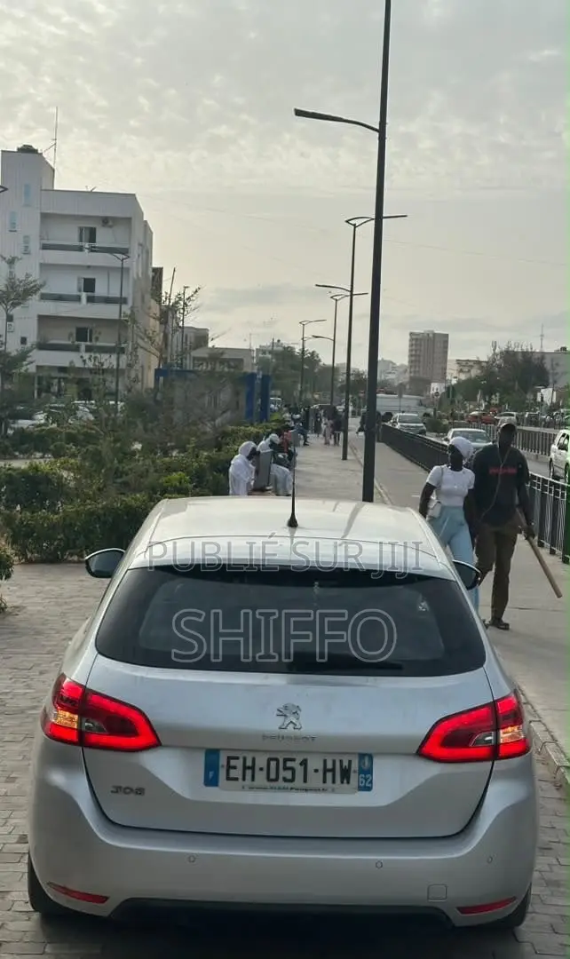 Peugeot 308 2016 Gris