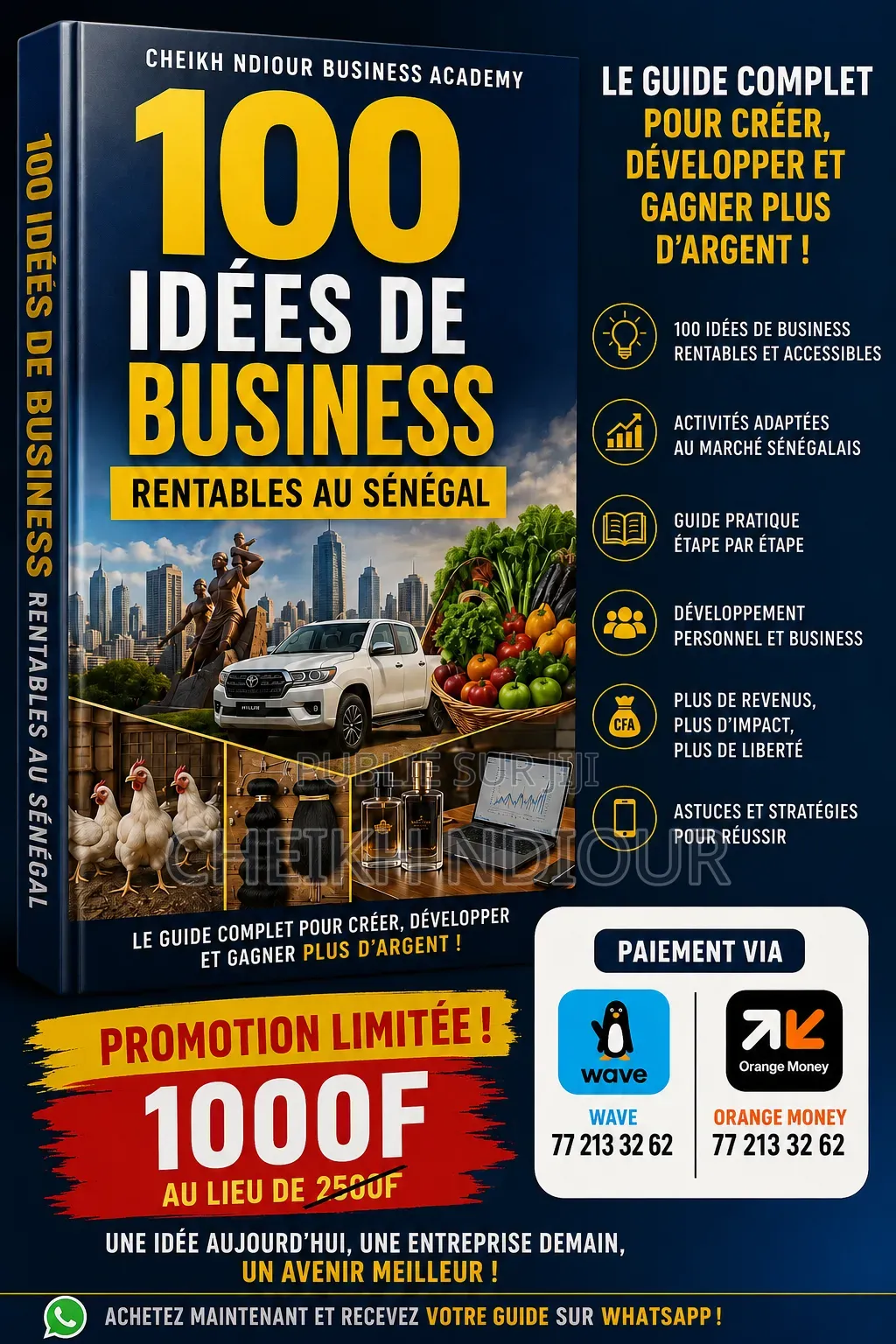 100 Idées De Business Rentable Au Sénégal