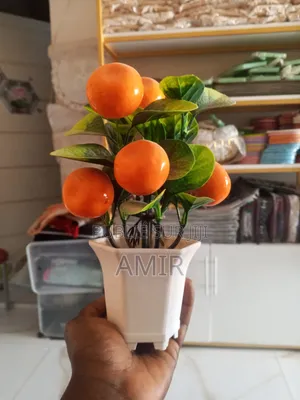 Fleur Fruitier