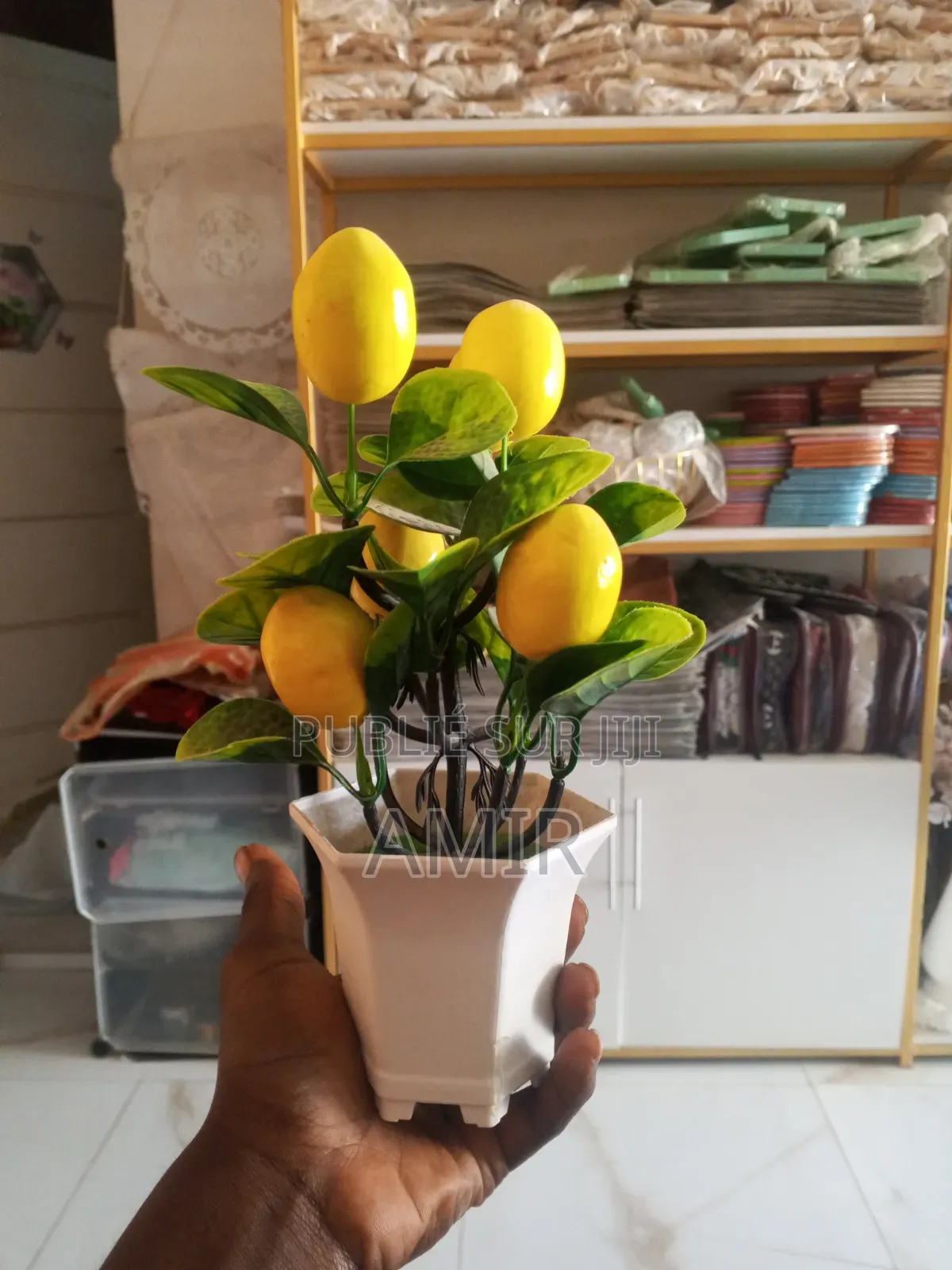 Fleur Fruitier