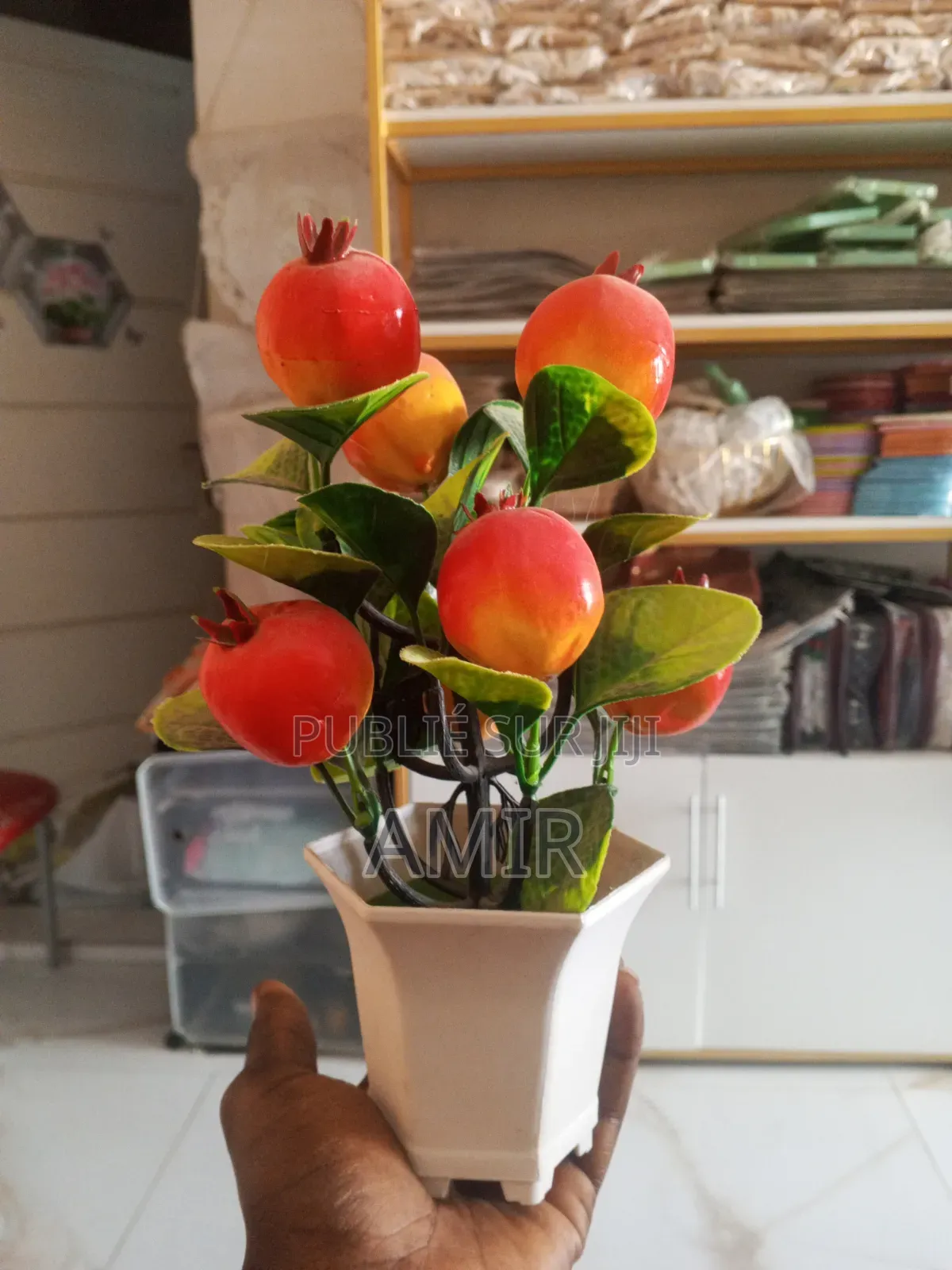 Fleur Fruitier