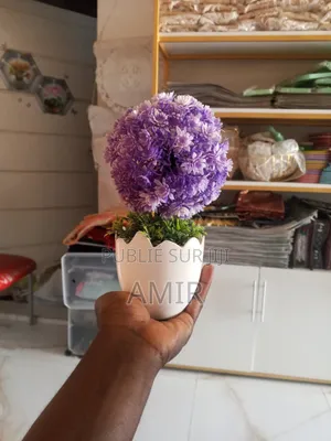 Fleur en Coquille d'Oeuf