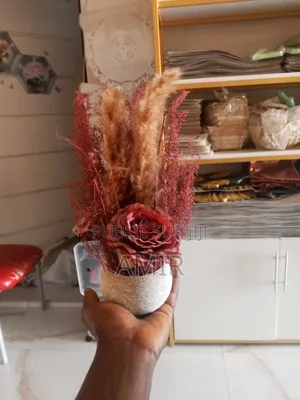 Fleur d'Herbe De Pampa