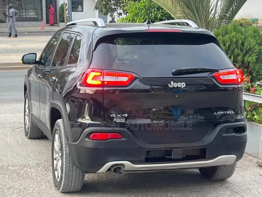 Jeep Cherokee 2018 Noir Mat