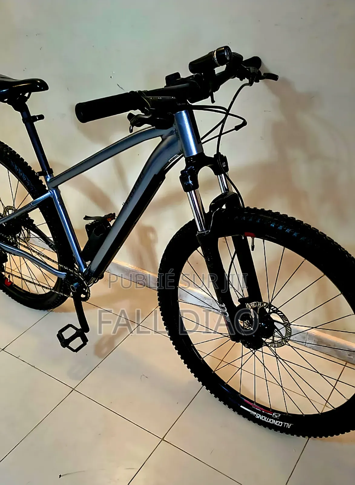 Autre 2024 Gris