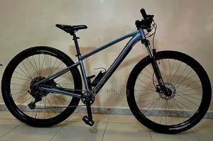 Autre 2024 Gris