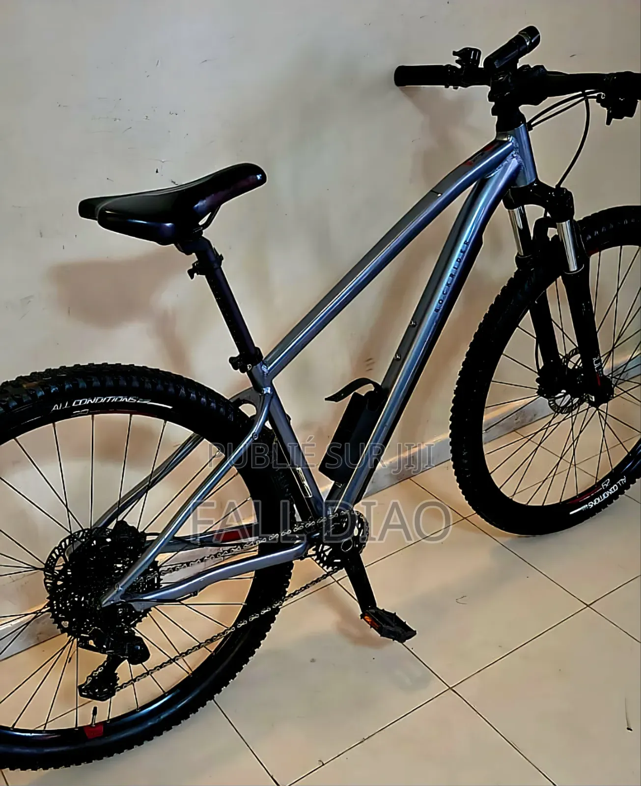 Autre 2024 Gris