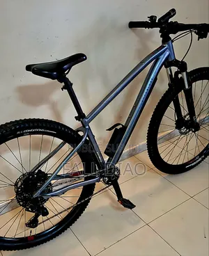 Autre 2024 Gris