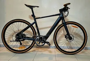 Autre 2023 Gris