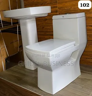 Ensemble Sanitaire Premium – Toilette Monobloc Lavabo Totem