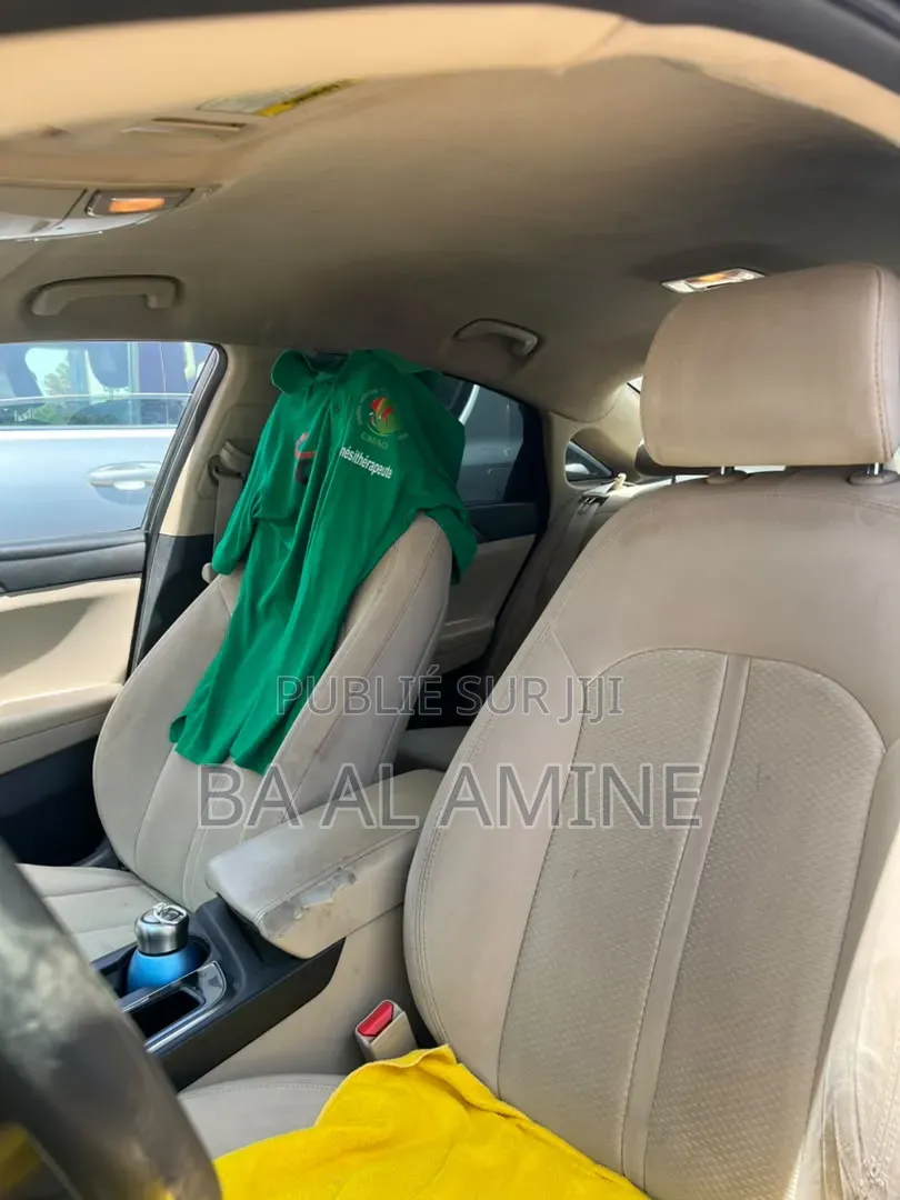 Hyundai Sonata 2017 Marron