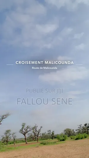 Vente Parcelle Et Terrain