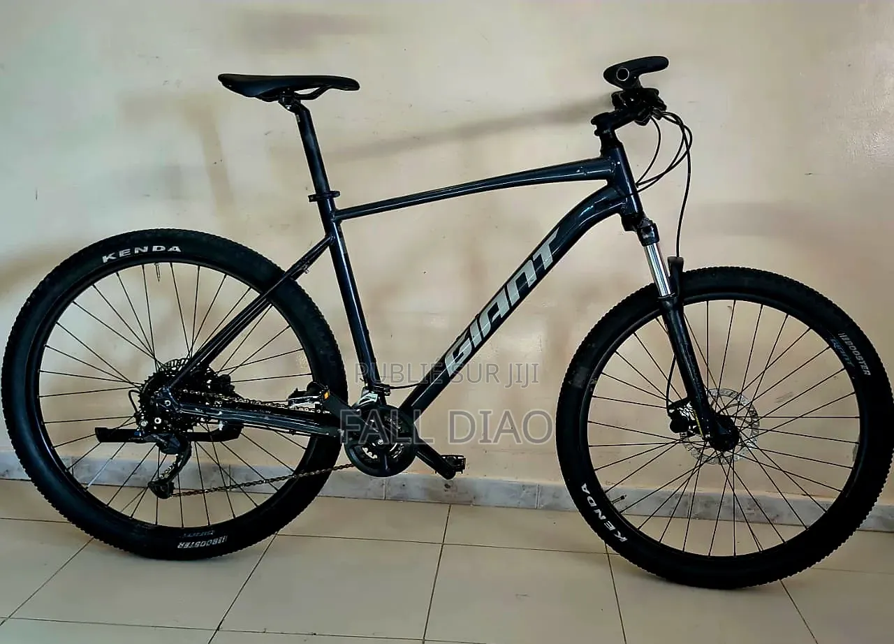 Autre 2023 Gris