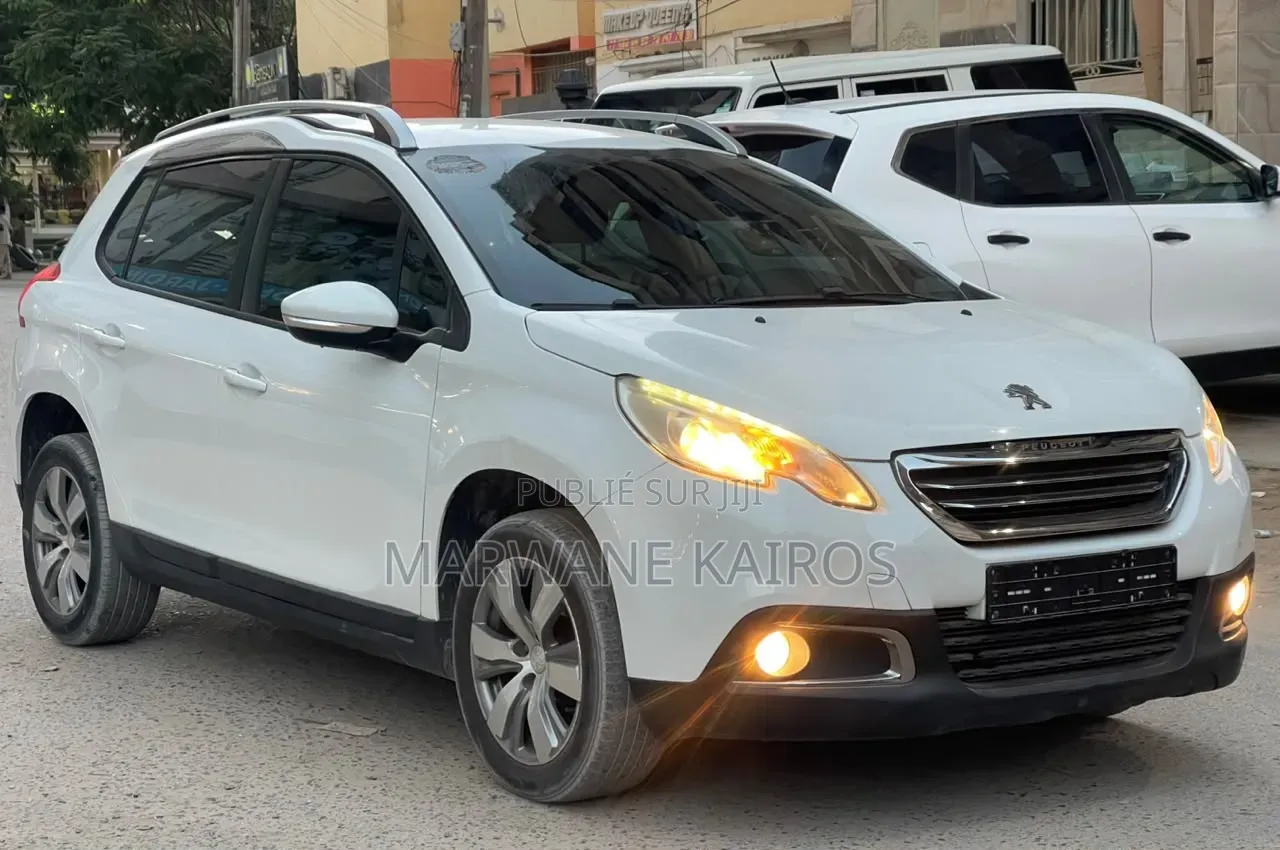 Peugeot 2008 2016 Autre