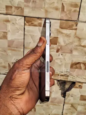 Nouveau Apple iPhone 13 Pro Max 512 GB Noir