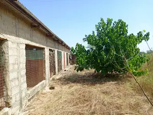 Exploitation Agricole De 3,56 Hectares Vers Thiénaba