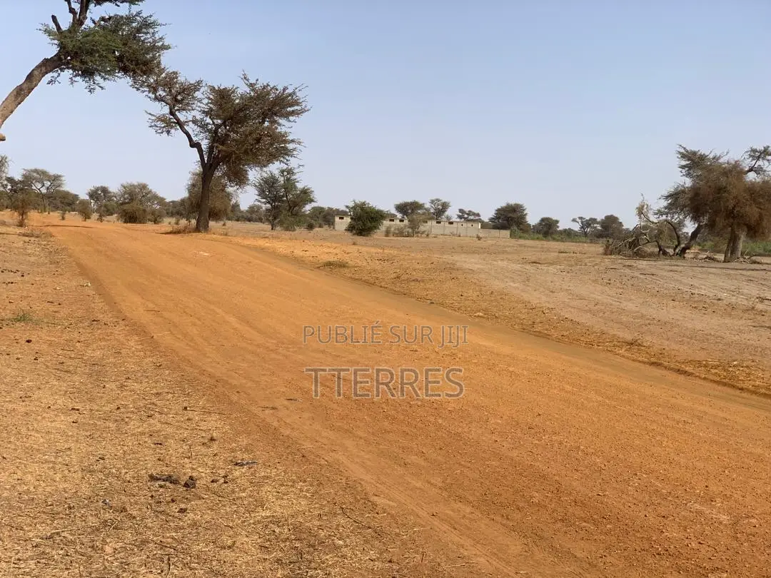 Exploitation Agricole De 3,56 Hectares Vers Thiénaba