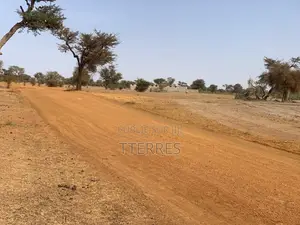 Exploitation Agricole De 3,56 Hectares Vers Thiénaba