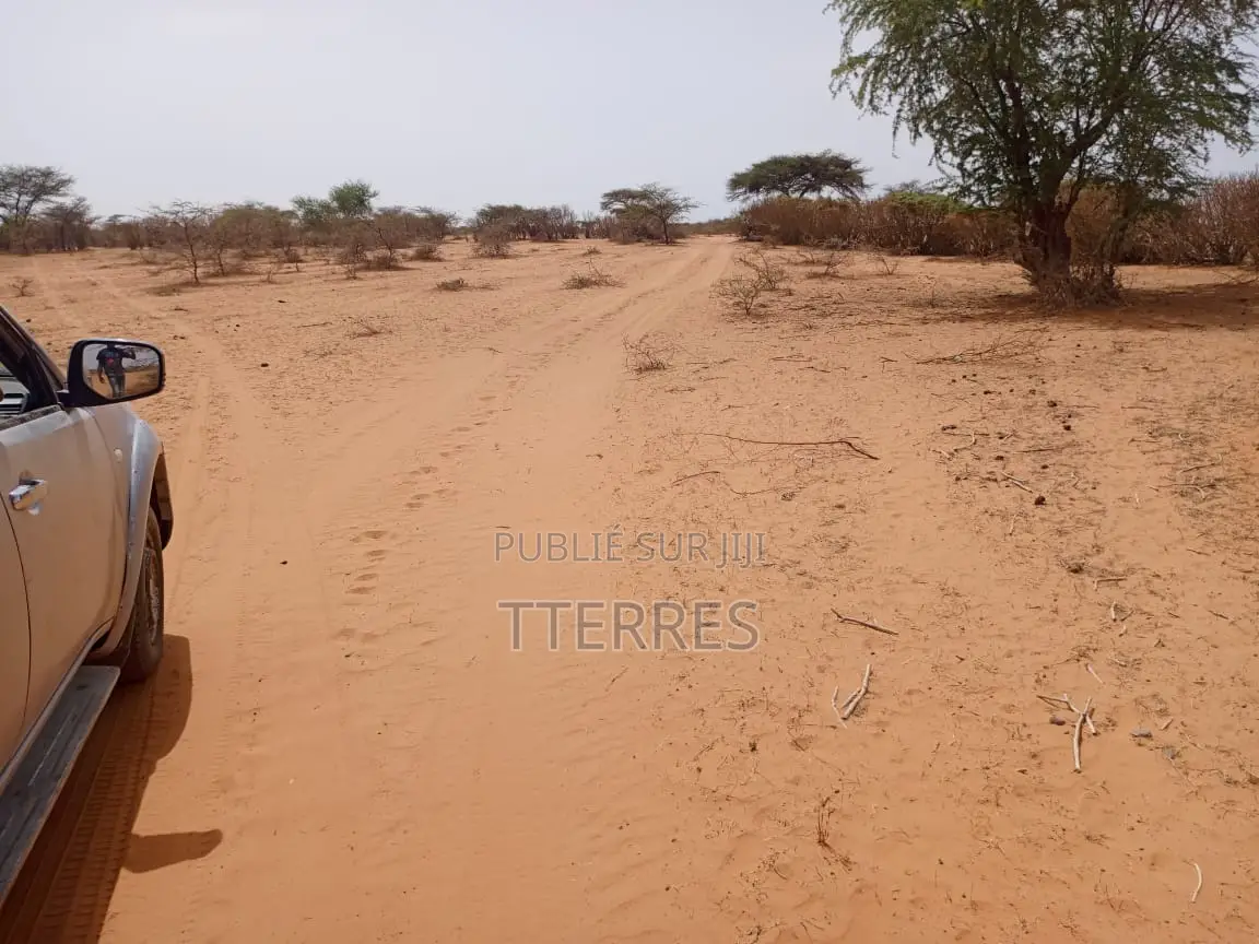 Terrain Agricole De 11 Hectares Ers Diama - Saint Louis