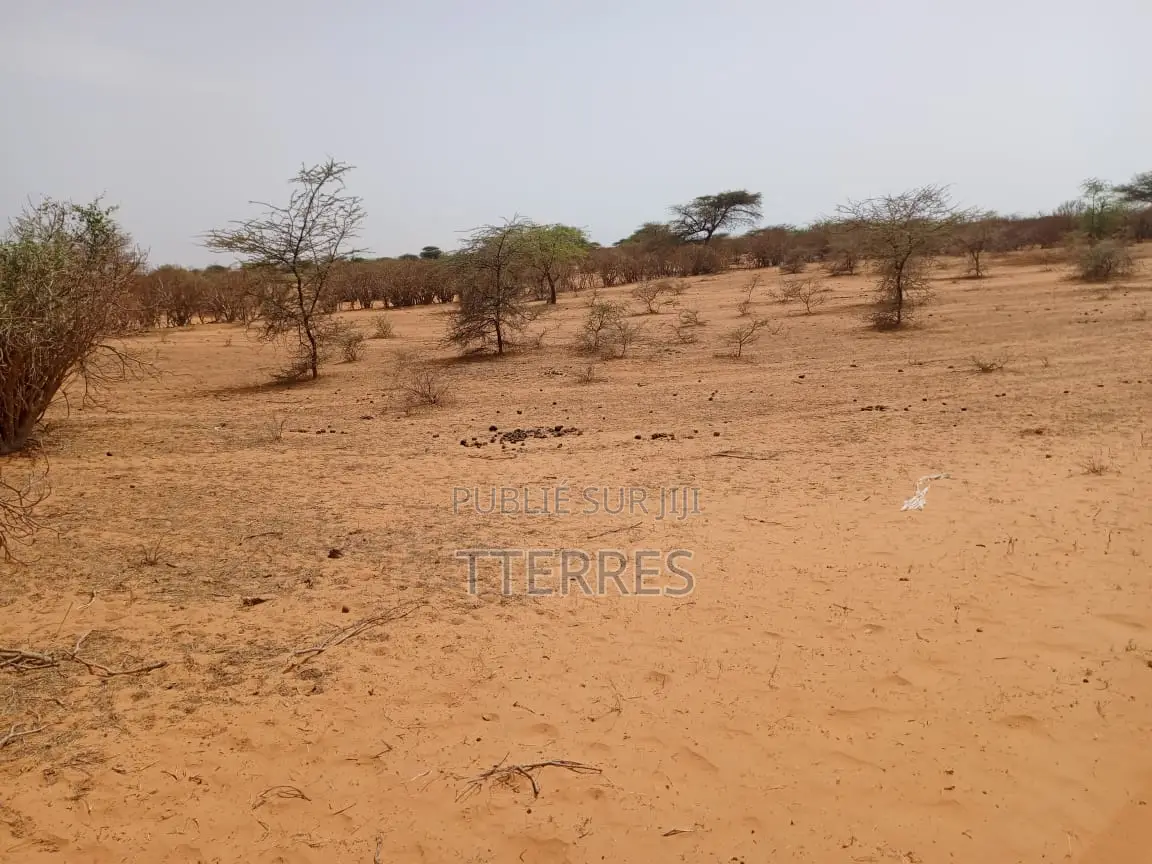 Terrain Agricole De 11 Hectares Ers Diama - Saint Louis