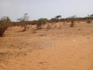 Terrain Agricole De 11 Hectares Ers Diama - Saint Louis
