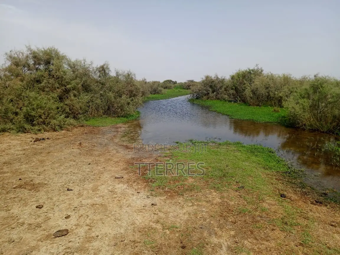 Terrain Agricole De 11 Hectares Ers Diama - Saint Louis