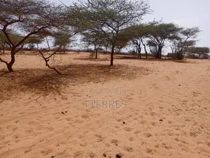 Terrain Agricole De 11 Hectares Ers Diama - Saint Louis