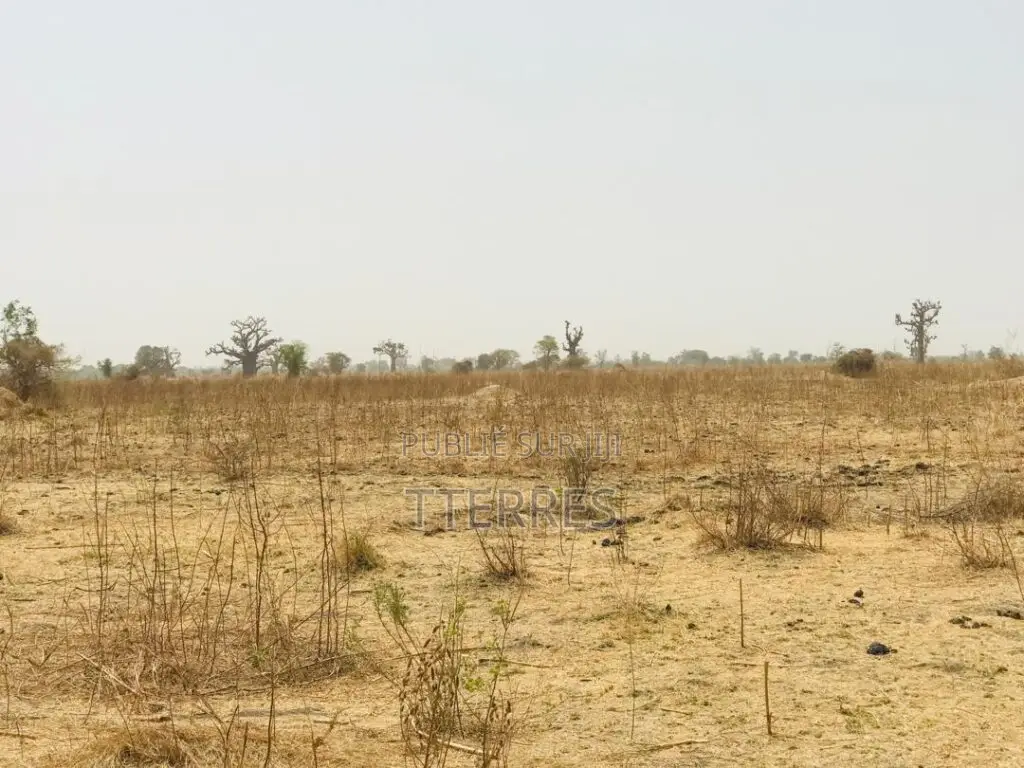 Terrain Agricole Se 1,41 Hectare Vers Nguéniéne – Mbour