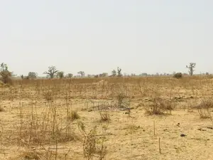 Terrain Agricole Se 1,41 Hectare Vers Nguéniéne – Mbour
