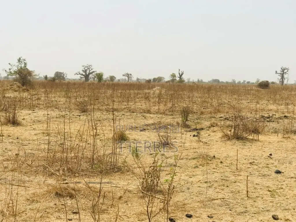Terrain Agricole Se 1,41 Hectare Vers Nguéniéne – Mbour