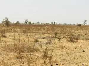 Terrain Agricole Se 1,41 Hectare Vers Nguéniéne – Mbour