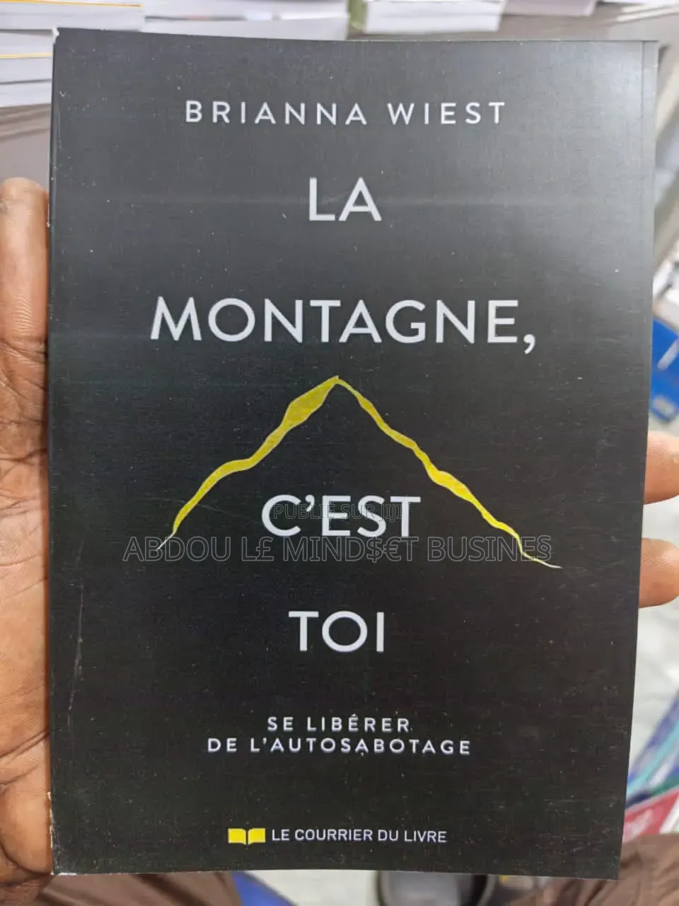 Livre : La Montage C'est Toi