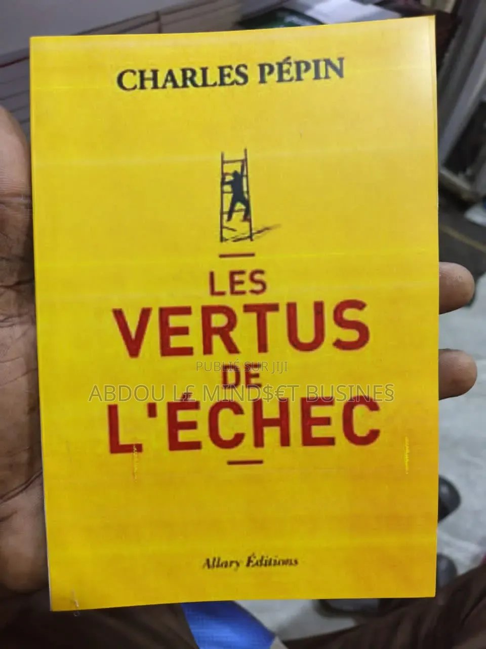 Livre : Les Vertus De l'Échec