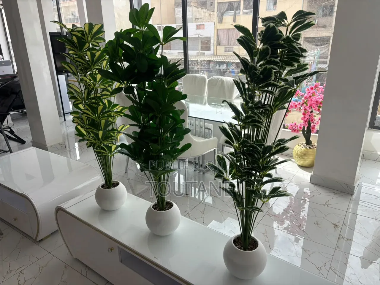 Fleur Grand Model 1m 20 De Longue 18000fr