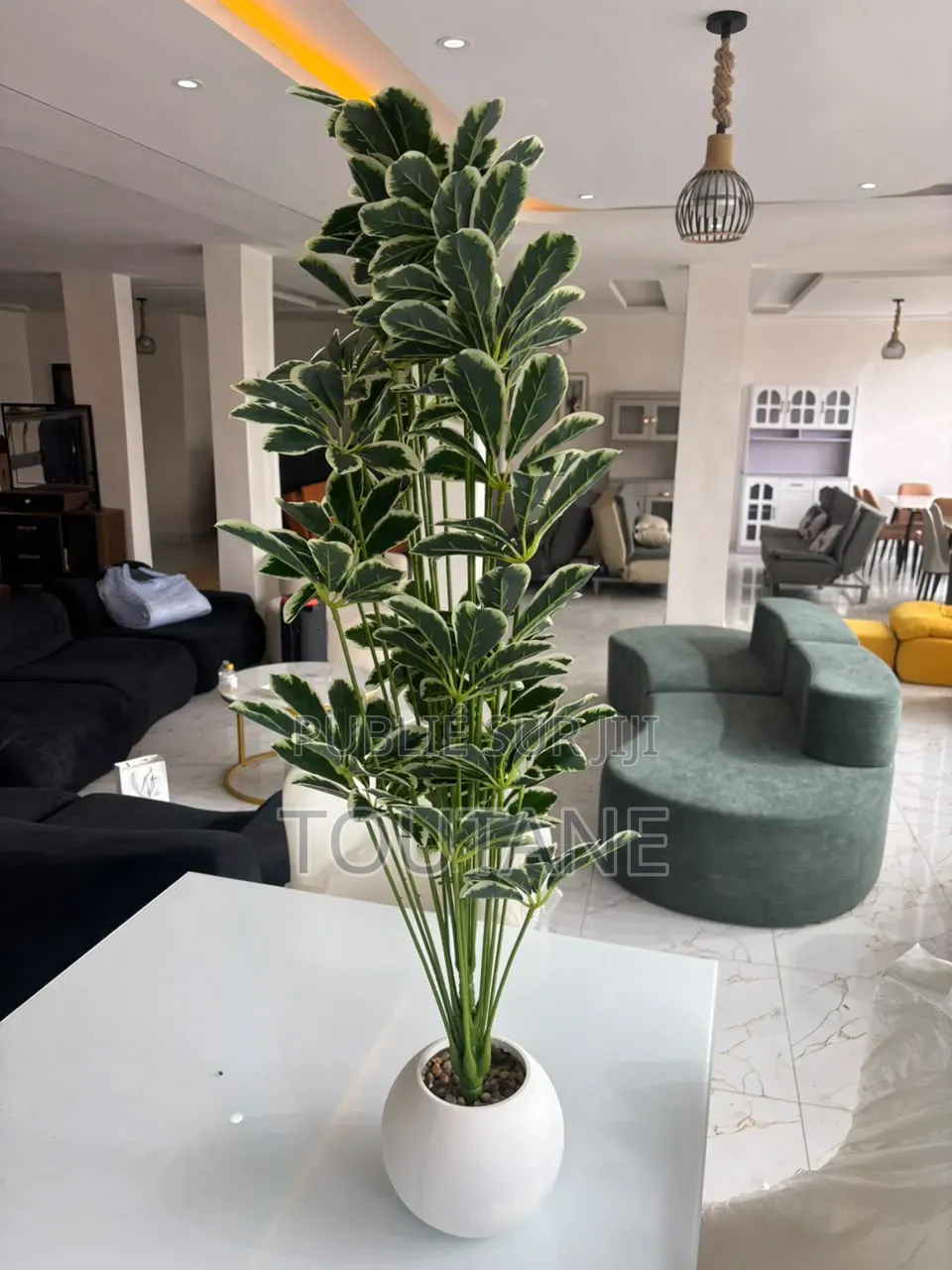 Fleur Grand Model 1m 20 De Longue 18000fr