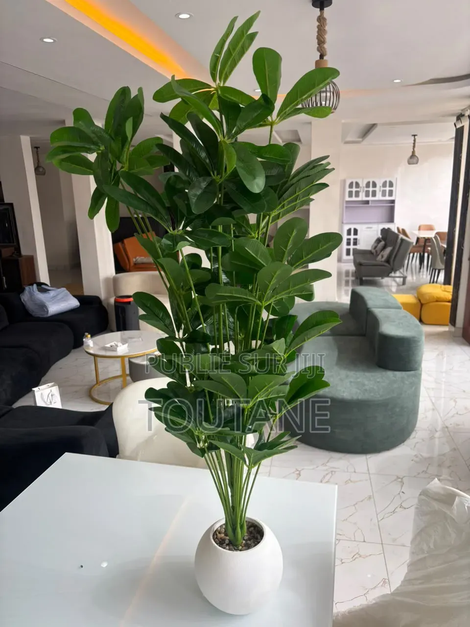 Fleur Grand Model 1m 20 De Longue 18000fr