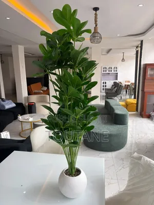 Fleur Grand Model 1m 20 De Longue 18000fr