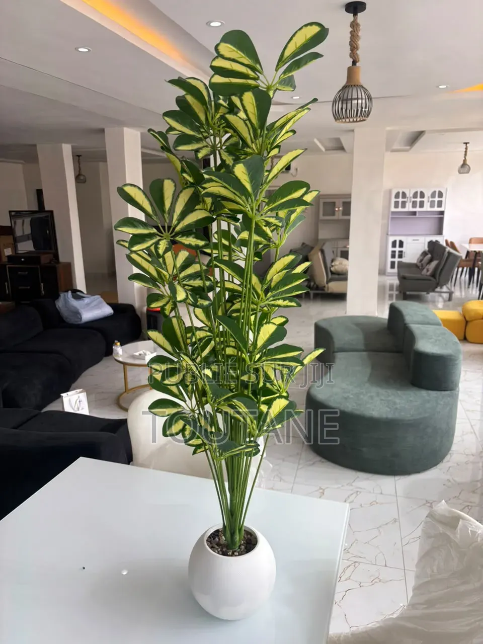 Fleur Grand Model 1m 20 De Longue 18000fr