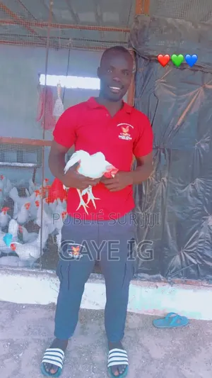 Formation en Aviculture Et Élevage