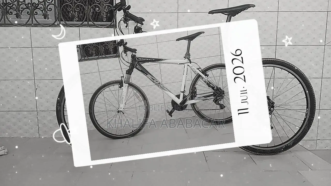 Vélo VTT Scoote 2019
