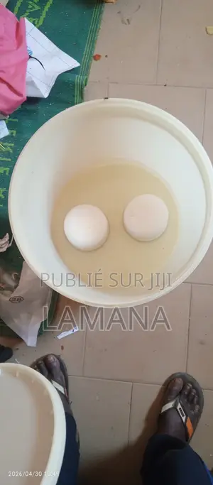 Filtre À Eau 20L lamSad