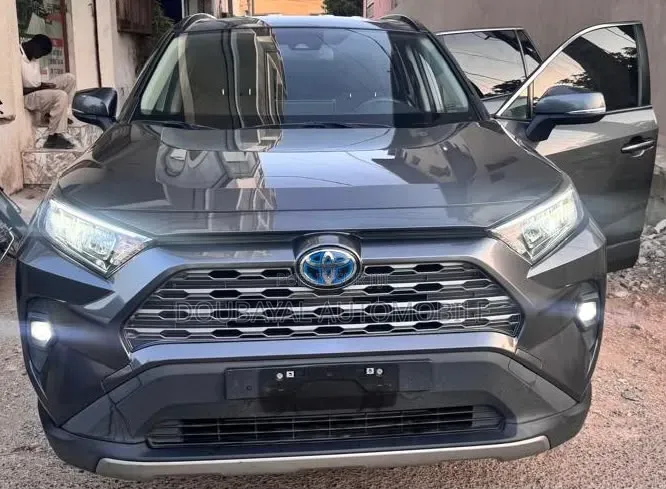 Toyota RAV4 2022 Gris