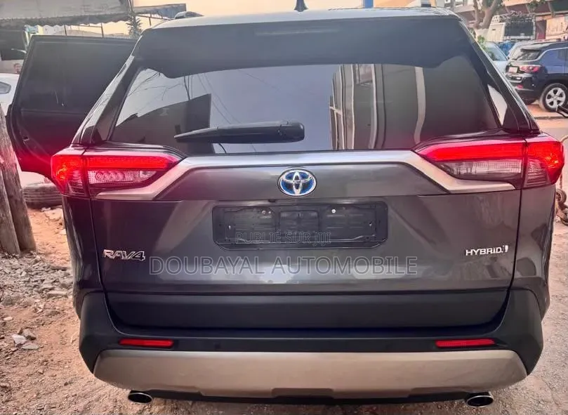 Toyota RAV4 2022 Gris
